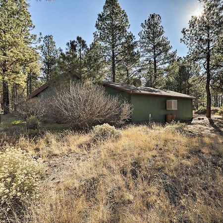 Family-Friendly Forested Home With Snow Play Area! Φλάγκσταφ Εξωτερικό φωτογραφία