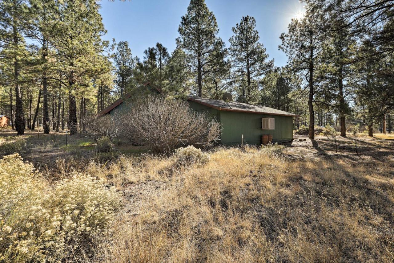 Family-Friendly Forested Home With Snow Play Area! Φλάγκσταφ Εξωτερικό φωτογραφία